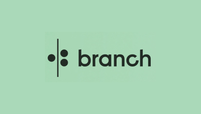 Branch Loan Nigeria | Quick Online Loan App - INFOLINEUP